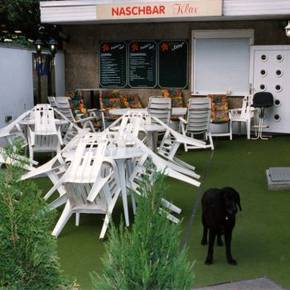 Damals 14